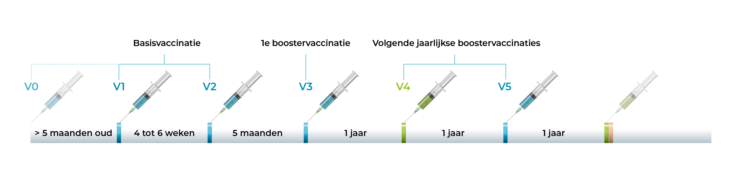 Vaccinatieschema influenza