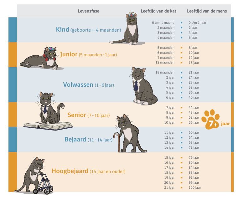 Hoe oud is je kat in mensenjaren