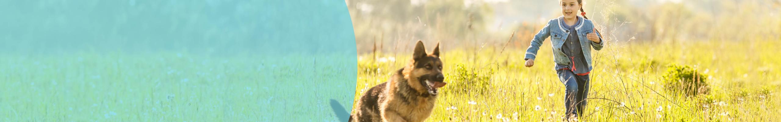 Header Hond Maandelijks