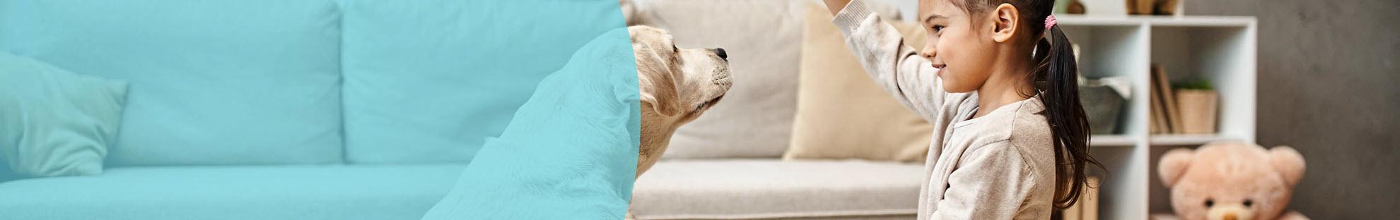 Header Hond Samenleven