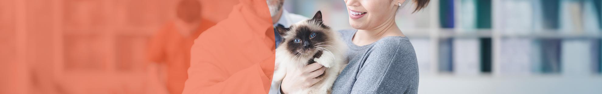 Header_LFC_Kat_Diergezondheid_Gezondheidscontrole