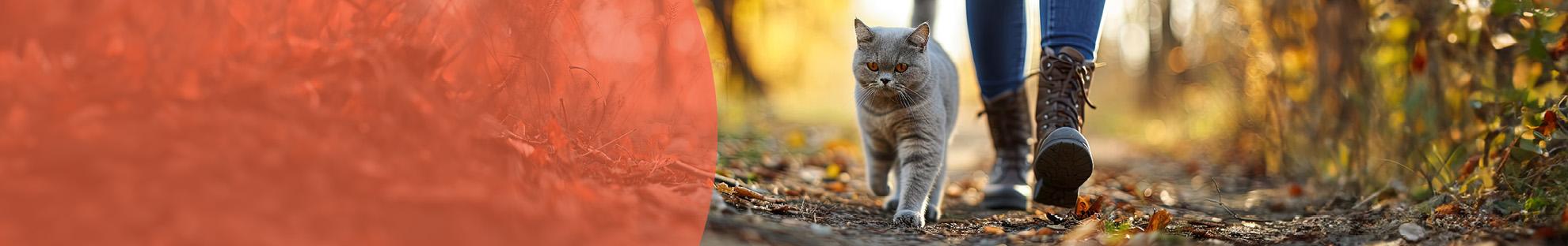 Header_Kat_Diergezondheid_Parasieten