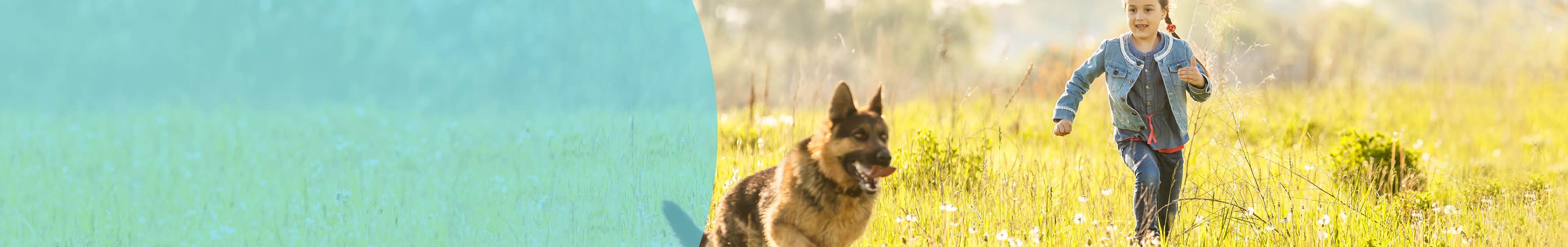 Header Hond Maandelijks