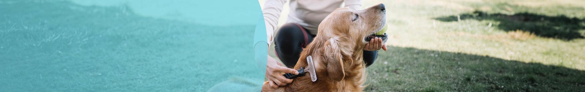 Header Hond Verzorging