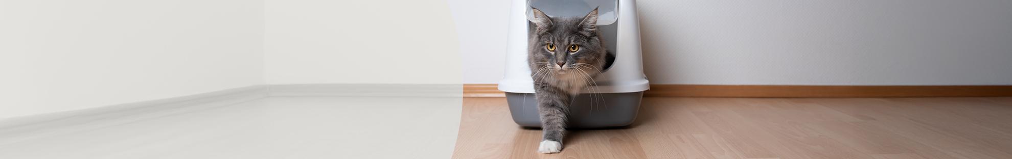 Header In huis plassen