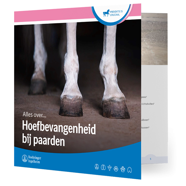 Brochure Hoefbevangenheid