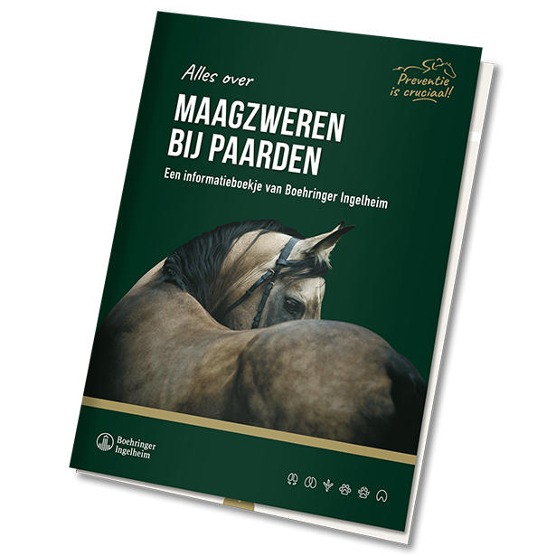 Brochure maagzweren