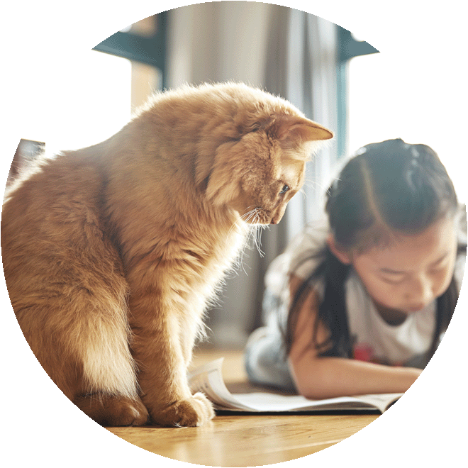 Homepage_Kat_Veelgestelde vragen