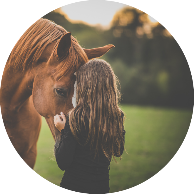 paardenwelzijn