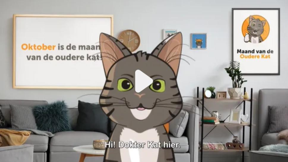 Video Maand van de Oudere kat