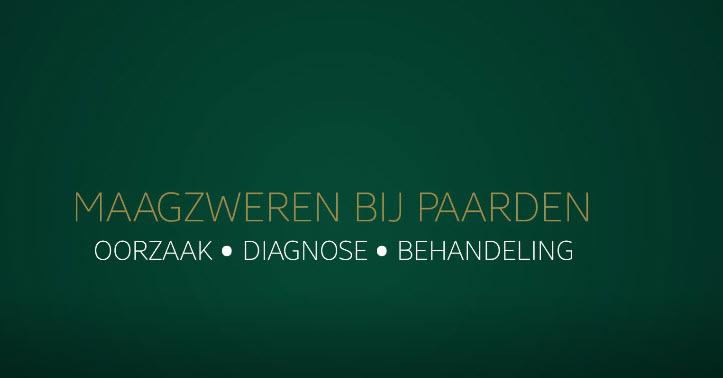 video maagzweren
